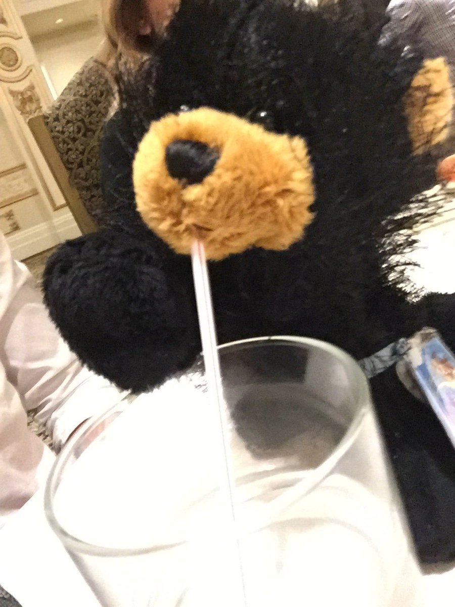 ieraci_d's tweet image. Bear be chillin #table12   #sjbathleticbanquet   @SJB_Athletics     #letsgoblackbears