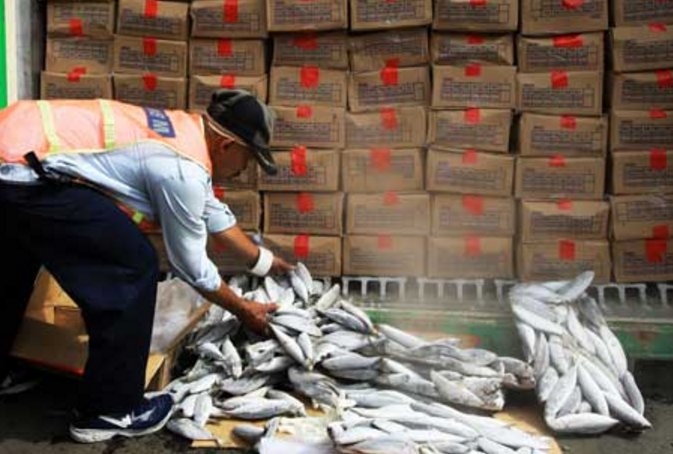 suararakyat32's tweet photo. Dalam 4 Bulan Ri Sudah Impor Ikan Sebanyak 11,4 Ribu ton https://t.co/350CZX5Uay https://t.co/ydE3LOIlXE