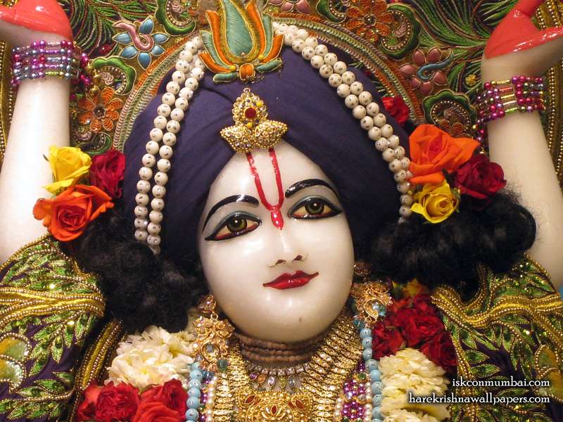 rein_renu tweet picture