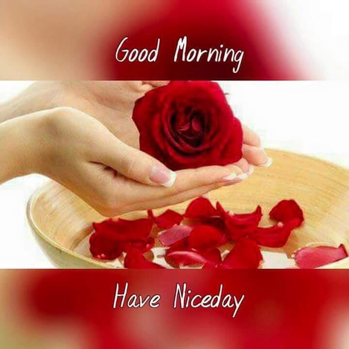 Manish Meena On Twitter Good Morning Dear Friends