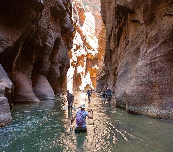seanseay's tweet photo. Today was Zion National Park.
#LiterallyNoWords
#TotallyOverwhelming
#accountability
#… https://t.co/DmJY362UAF https://t.co/wgRjBHSa5s