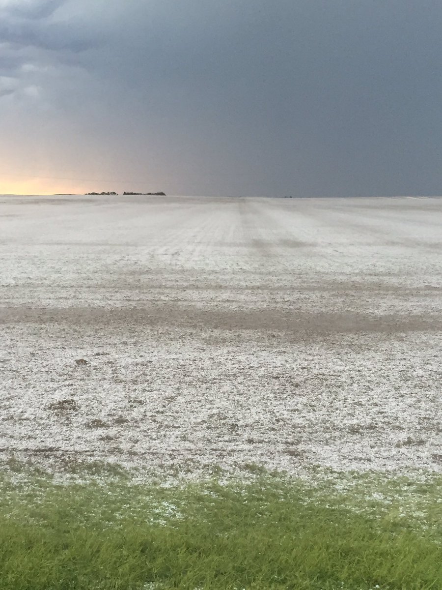 We lost 2500 acres of crop or more