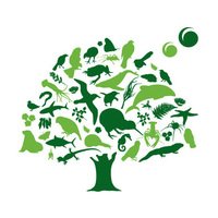 Forest and Bird lays complaint over Ruataniwha conflict of interest dlvr.it/LWsj4t
