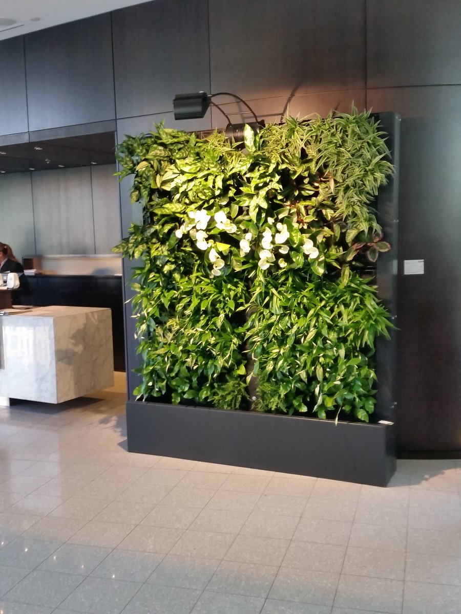 Ons Stand-alone systeem is onderdeel van de expositie 'Organic' bij <a href="/HotelArtemis/">Hotel Artemis</a> #verticaletuin #organic