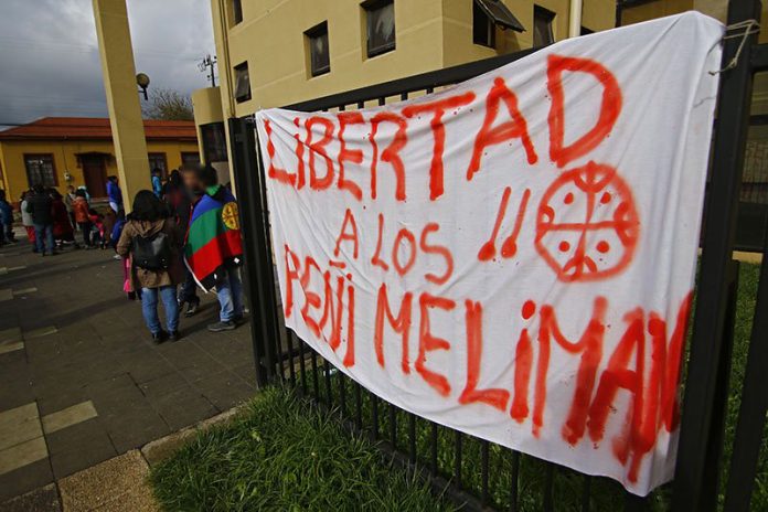 PaisMapuche tweet picture