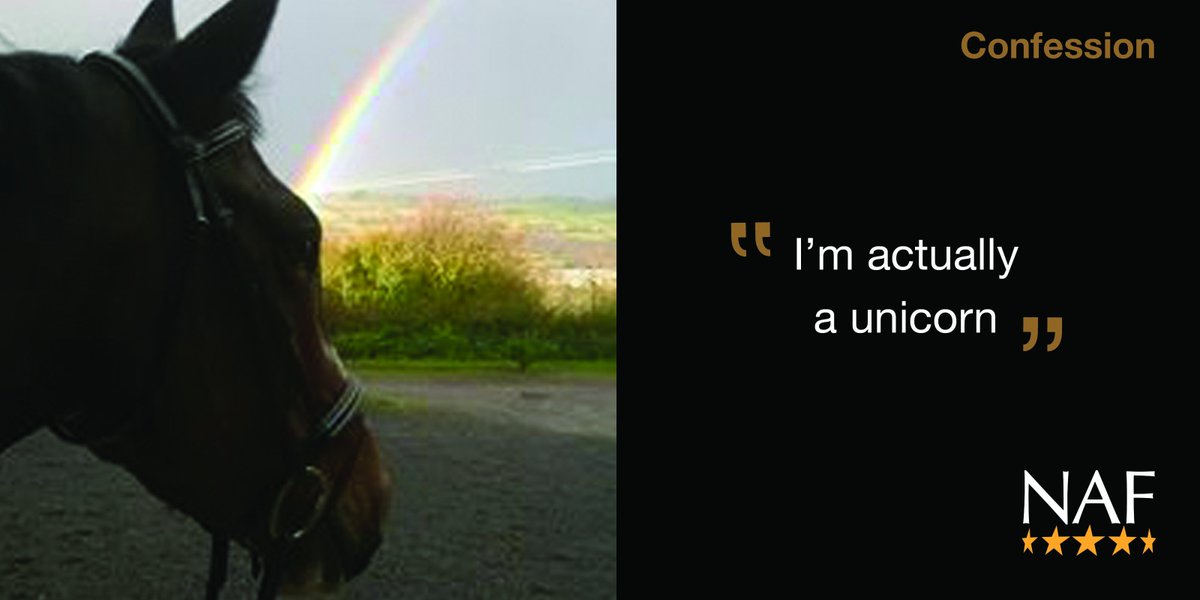 nafuk's tweet photo. Always be yourself. Unless you can be a unicorn: then, always be a unicorn. https://t.co/FkAxYF57dq