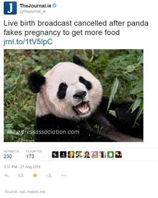RootyHillRSL's tweet image. Hello spirit animal 😂 😂 😂  #fakeittillyoumakeit #justpretending #panda #expectingmother #justkidding #foodbaby