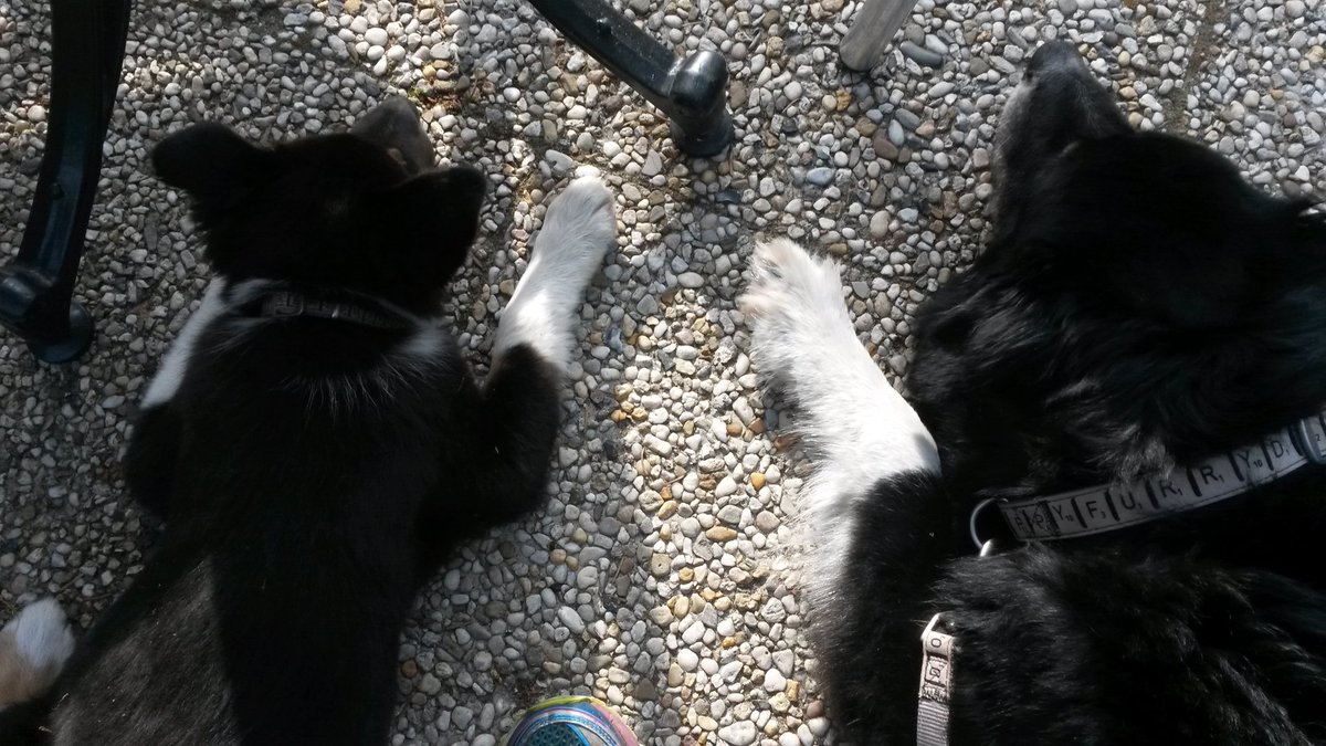 Aussie STAN (@heidert72) on Twitter photo 