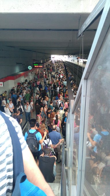 Ver imagen en Twitter Ver imagen en Twitter