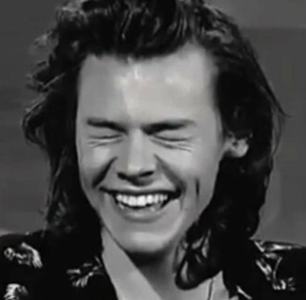mint_chocolate2's tweet photo. Your smile should be listed as one of the seven wonders of the world @Harry_Styles https://t.co/EJm95LWrxA