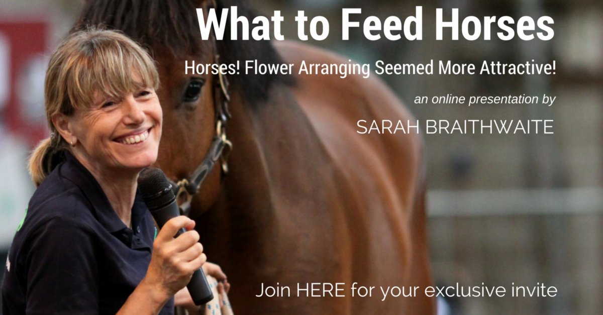 🐴 🌱 Forageplus 🌱🐴 tweet media