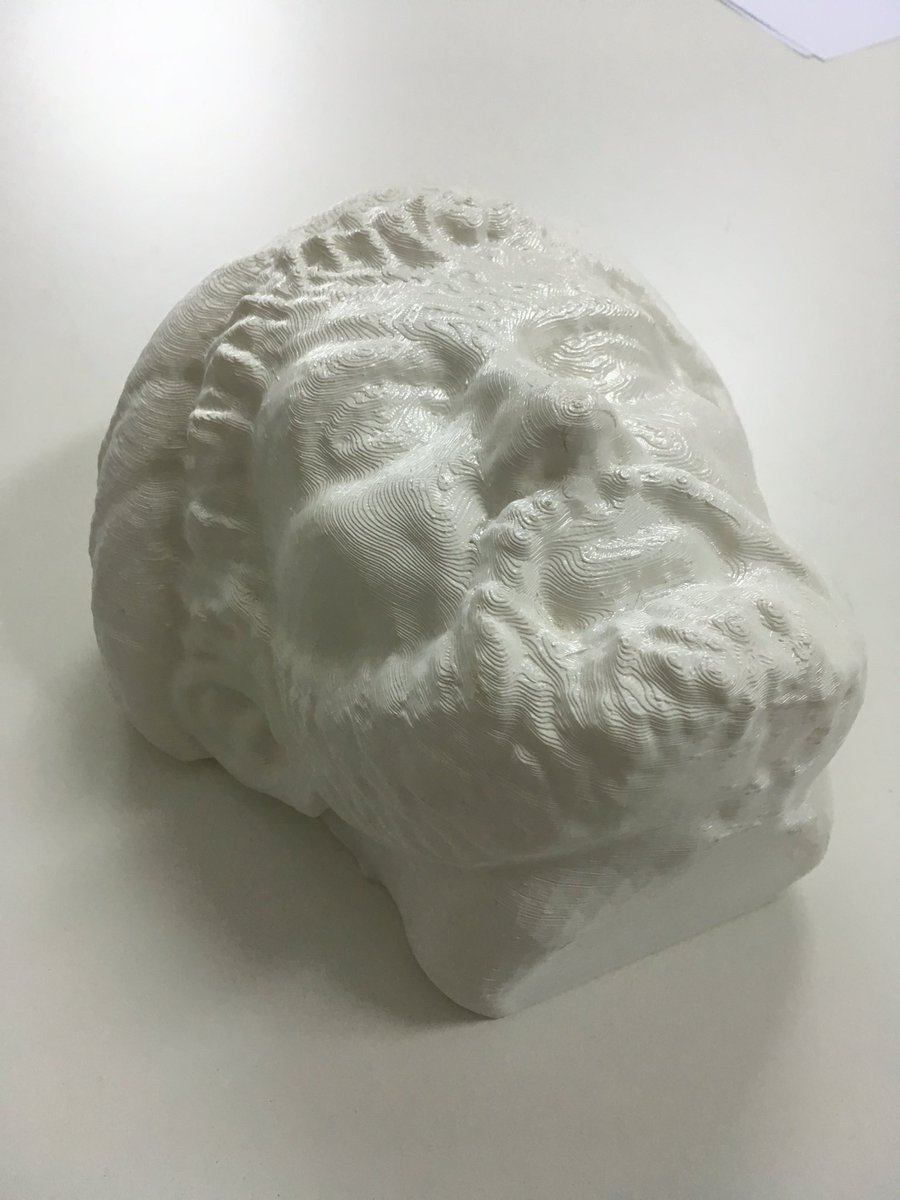 DaCryptoGe_vxbv's tweet photo. @Sharebot3D @FabLab_Crotone excellent #3dprint meet #art #architecture &amp; #history https://t.co/VWBZQ3Vj5R