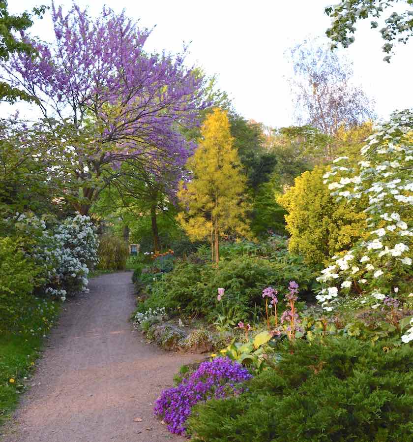 Sophia Schuelke On Twitter Botanischer Garten Metz Gedeiht Seit