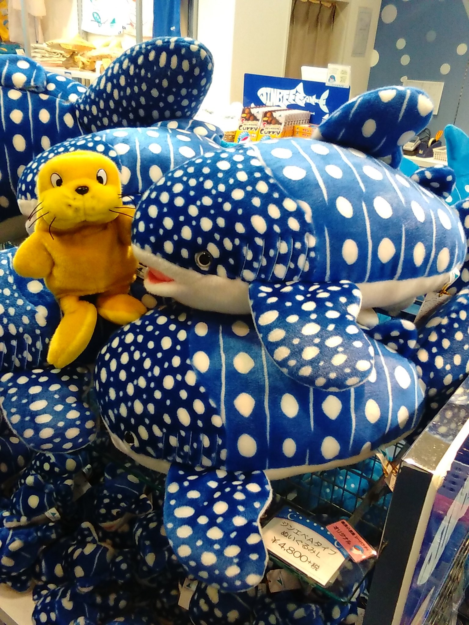 横浜 八景島シーパラダイス公式 シーパラおみやげタイム ジンベエshop ジンベエザメのオリジナルグッズが たくさんありすぎて困っちゃう 子供から大人まで幅広く品揃えしたオススメの品物がいっぱい ベイマーケットd棟1f シーパラ 八景島
