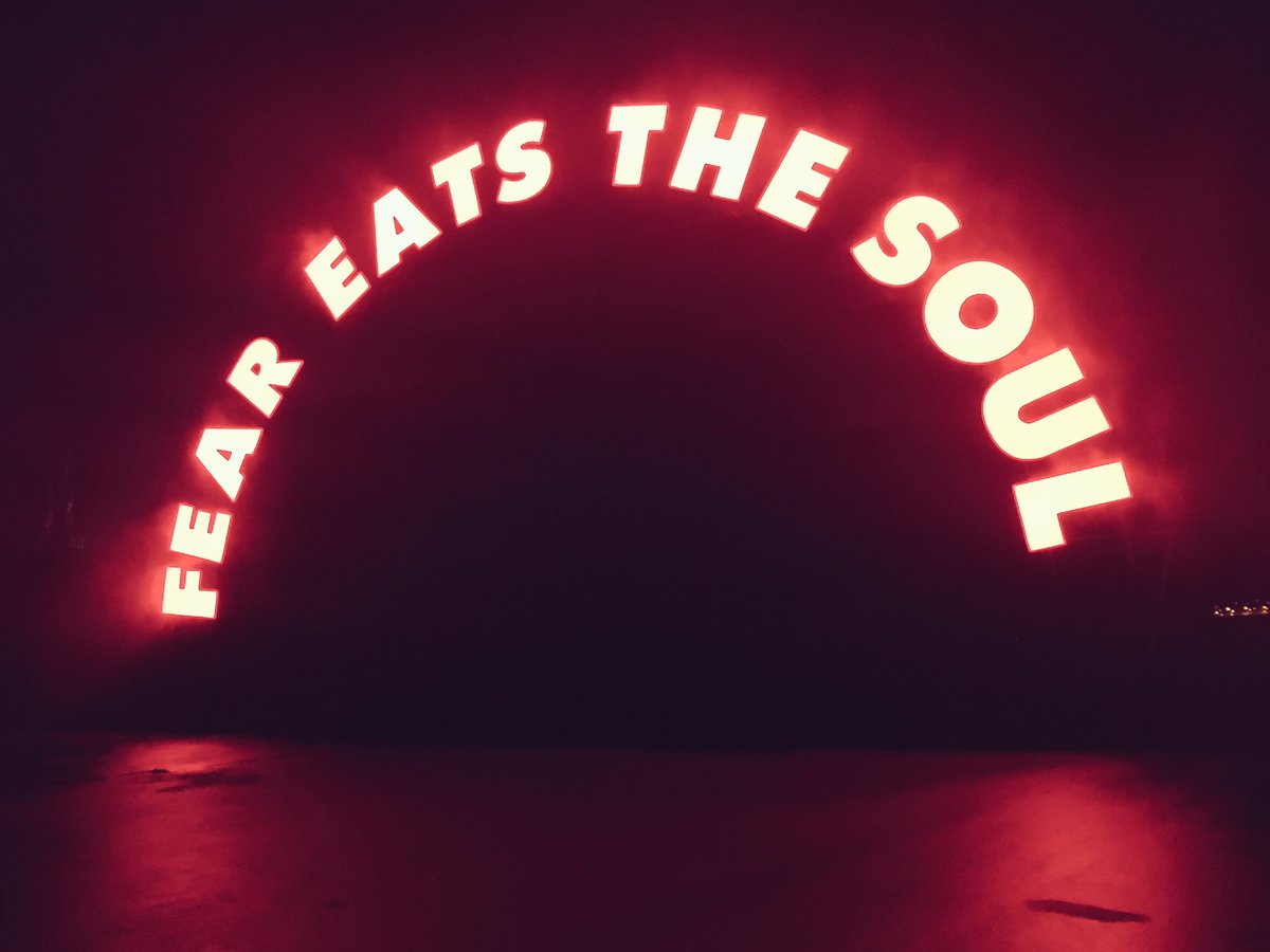 Sage advice from a festival that champions risk-taking #darkmofo