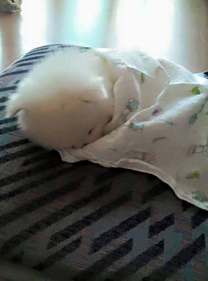 이불줘.. 잘꺼야..