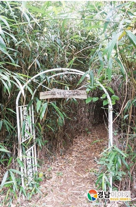 travelkoreagsnd's tweet image. Visit #Koje for #thebamboo forest and wonderful #seashore~!