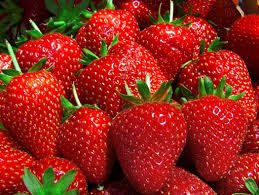 Pittsburghnet's tweet photo. #pittsburghweekend @SoergelOrchards Evening Strawberry Festival!
6/10 Wexford https://t.co/8cBae2GnU0 https://t.co/KZqTF0cFaK
