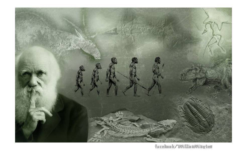 begamification's tweet image. Evoluzione brand marketing fino a #gamification con @lovby_social  begame.it/?p=1158 by #begame