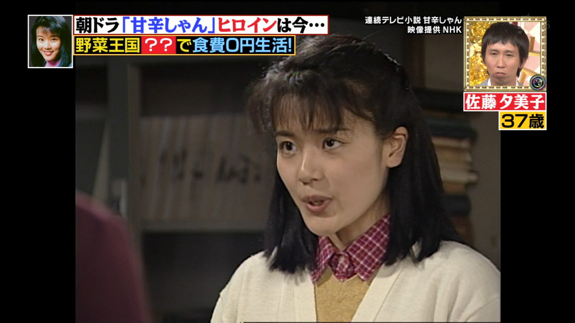 ナンガ O S 佐藤夕美子さん 爆報 甘辛しゃん T Co Ok3fj5mo0p Twitter