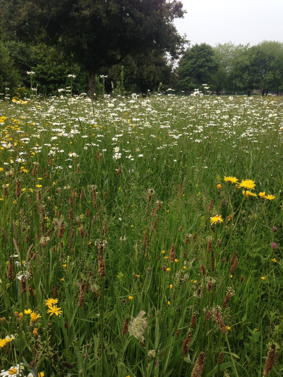 photogbrum's tweet image. Testing locations for #promdress #photoshoot later #donotrain #Birmingham
