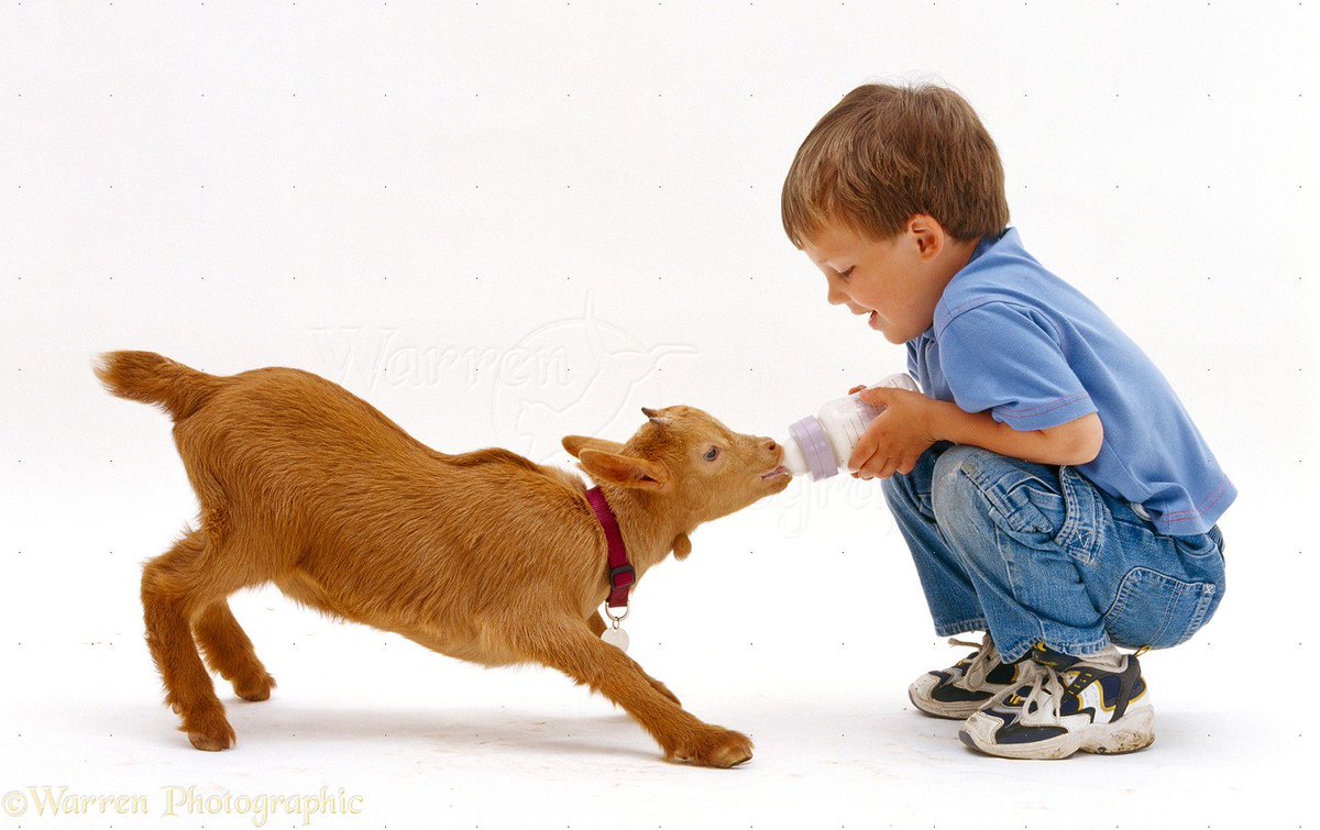 Taste and Touch the Tommie. Extra Tommie Sjef Wild Ales session: Friday13:00 <a href="/indewildeman/">In de Wildeman</a> also Saturday <a href="/Bierkoning/">De Bierkoning</a>