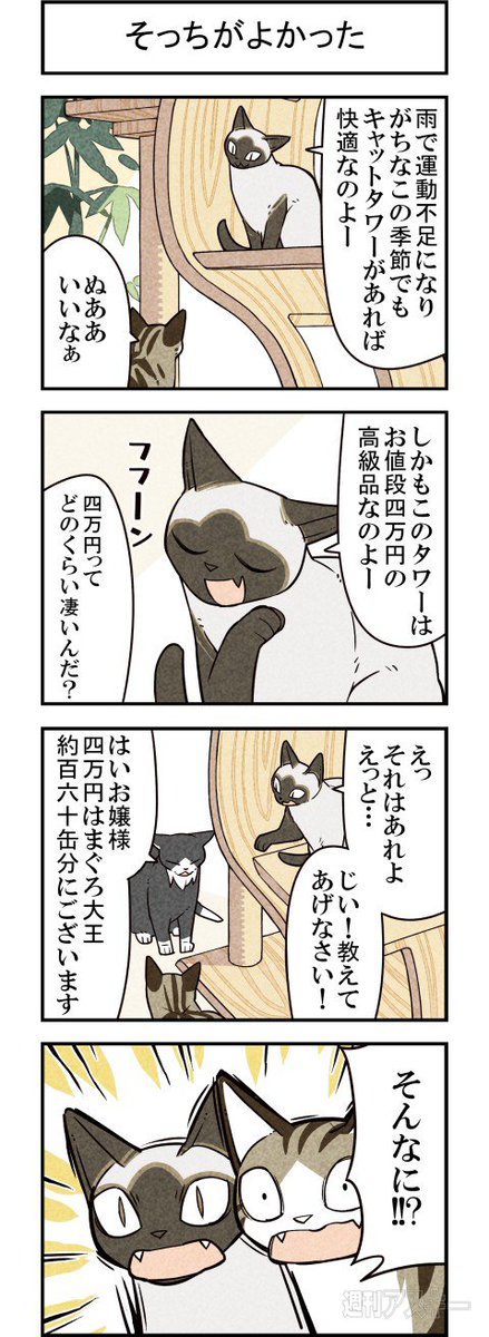 高級キャットタワーvs超高級キャットタワー 週アスCOMIC「我々は猫である」第66回 - 週刊アスキー https://t.co/GtX3wJ6eMX 