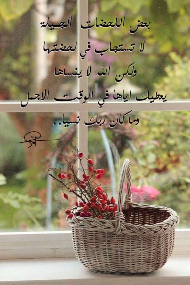 1ma1nal's tweet photo. https://t.co/Lby98hZMYs