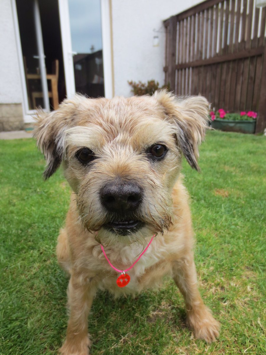 lynniehamish's tweet image. Hello Ladies! 😬👍😍 @misheleneous