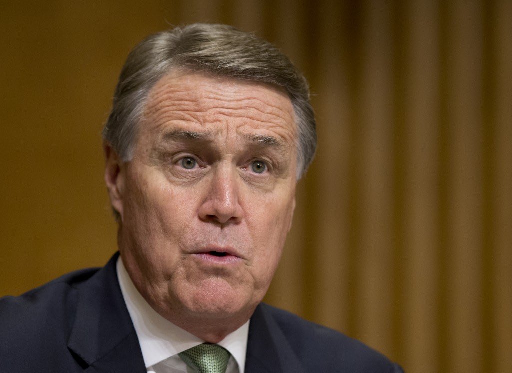 RdrgzKr's tweet photo. .@sendavidperdue The American people want #WitnessesAndDocuments not a #GOPCoverUp. You swore an oath to the Constitution, not the president. And we’ll remember in 2020. #ImpeachmentTrial #Georgia #SheIsWorthIt #53GOP https://t.co/zmtMk1PqPI