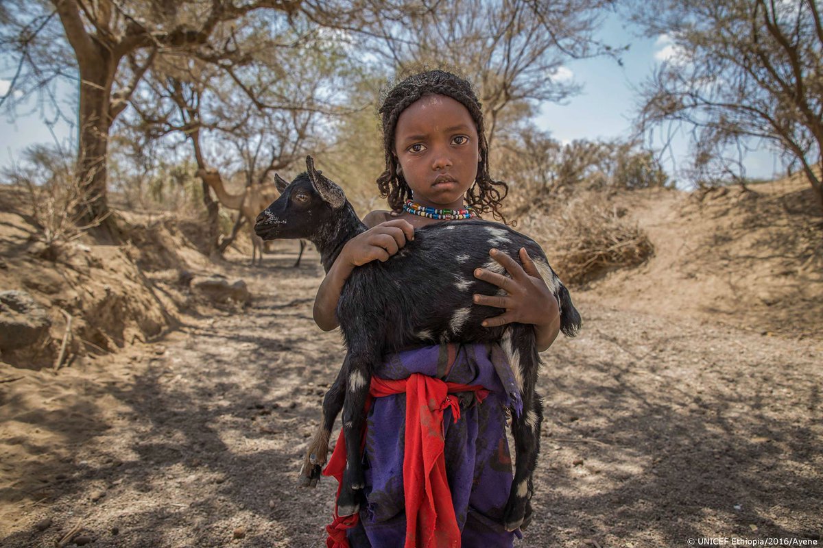 Hamida, 6, in Afar, #Ethiopia. Her family lost much of their livestock in #ElNiño related drought <a href="/UNICEFEthiopia/">UNICEF Ethiopia</a>