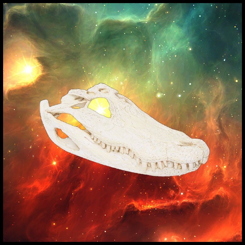 Sleepy Alligators tweet media