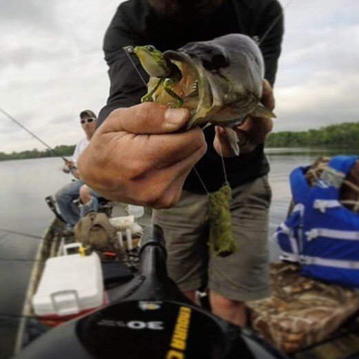 Lunkerhunt_fish's tweet photo. Another one falls for the Pocket Frog #Lunkerhunt #PocketFrog photo and catch by @wisco_dad https://t.co/vEOsJw07pb https://t.co/lSxU5FE3PH