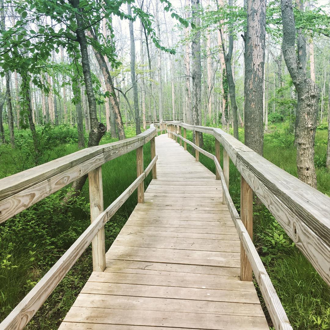CharityMiles's tweet photo. Walk your path, and walk with purpose. Photo: @dpod24 #charitymiles #everymilematters #movewithpurpose https://t.co/A0Nc3ttl5B