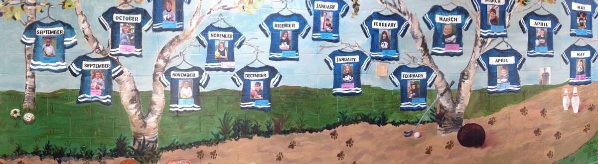 ACPhysED's tweet photo. Our PE All-Star wall is complete...congrats to all of our stars! @ACSRochester https://t.co/KMi5WVj32r