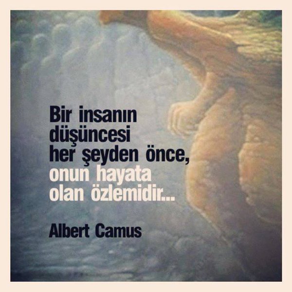 Edebiyatlacom's tweet photo. Kendimi yargılamadan, kimseyi yargılamadım...

Albert Camus https://t.co/EkwtDpuljg