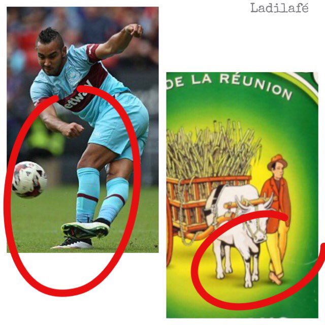 LadiLafeFR's tweet photo. Le secret de @dimpayet17 enfin révélé 😜 #frarou #euro2016 #weare974 #laréunion #gotoreunion https://t.co/P2DelZaJGE