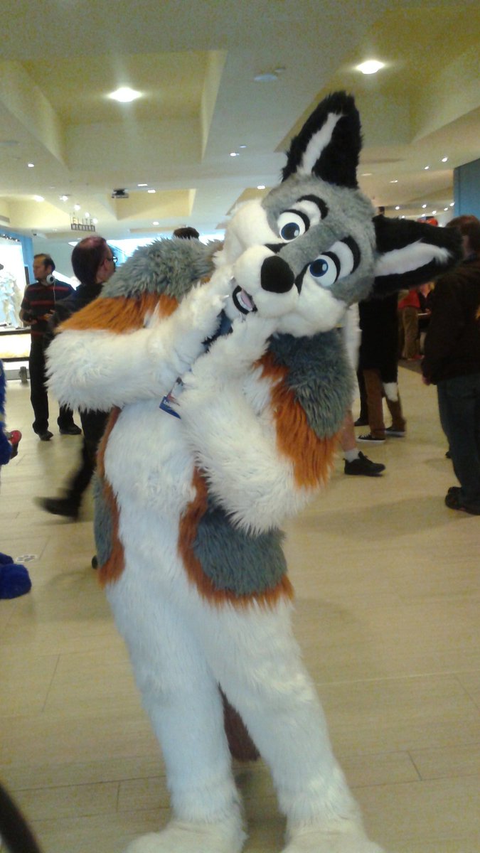 colinbunny93's tweet photo. Happy #FursuitFriday Everyone. This weeks pictures are of @Lockfordfox from FC 2015 and 2016. Enjoy everyfur!!!!! :3 https://t.co/ydhUbwqOEY