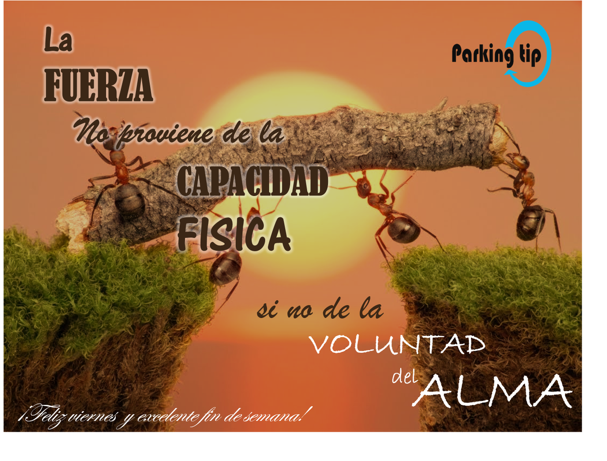 ParkingTipMX's tweet photo. ¡Feliz #viernes y excelente #findesemana les desea #ParkingTip!
¡La voluntad del alma es nuestra fuerza...! https://t.co/dQQ1wL4Vs5