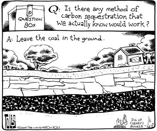 tveitdal's tweet photo. Carbon sequestration that works https://t.co/Kfcs0Xwnn3