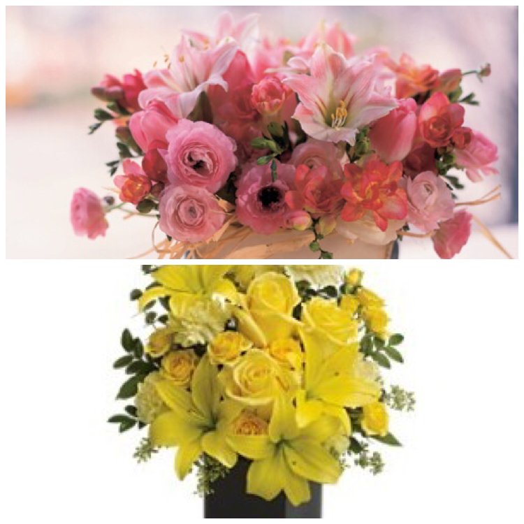 rebloomit's tweet photo. Yellow or Pink? https://t.co/Iq0nEpXdqw #rebloom #flowers #summer #wedding https://t.co/cGHUQ2PgdN