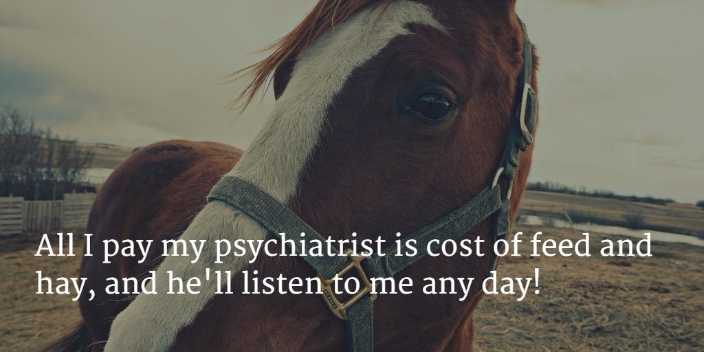 equestrian_co's tweet photo. All I pay my psychiatrist is cost of feed and hay, and he'll listen to me any day! https://t.co/wWVPwobMIU