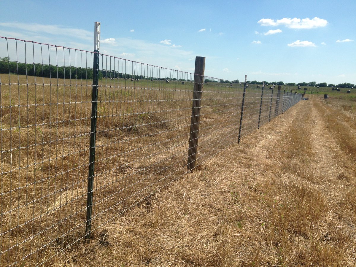 kaufmanfencepro's tweet photo. Installation of a new #horse fence in #Terrell using #redbrand #noclimb https://t.co/jB7MTy9G1k