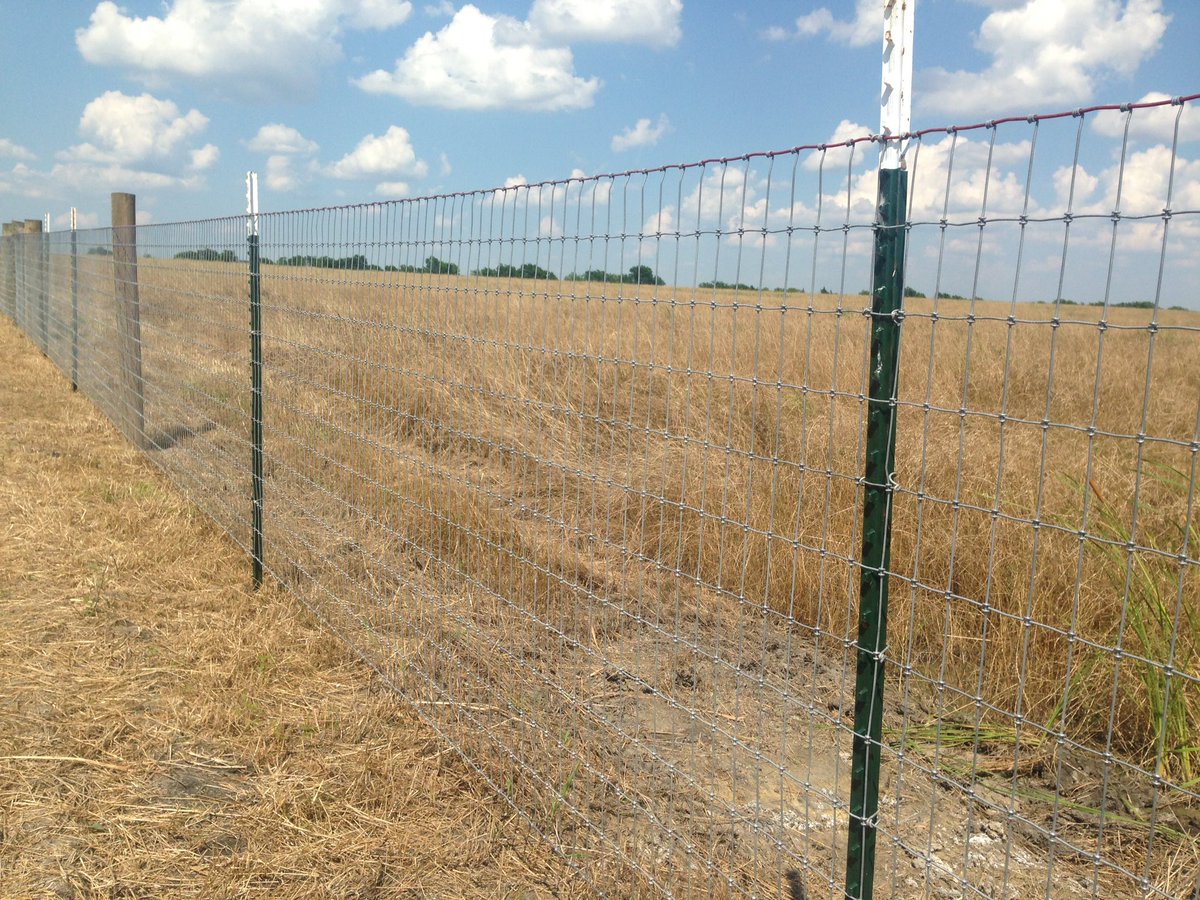 kaufmanfencepro's tweet photo. Installation of a new #horse fence in #Terrell using #redbrand #noclimb https://t.co/jB7MTy9G1k