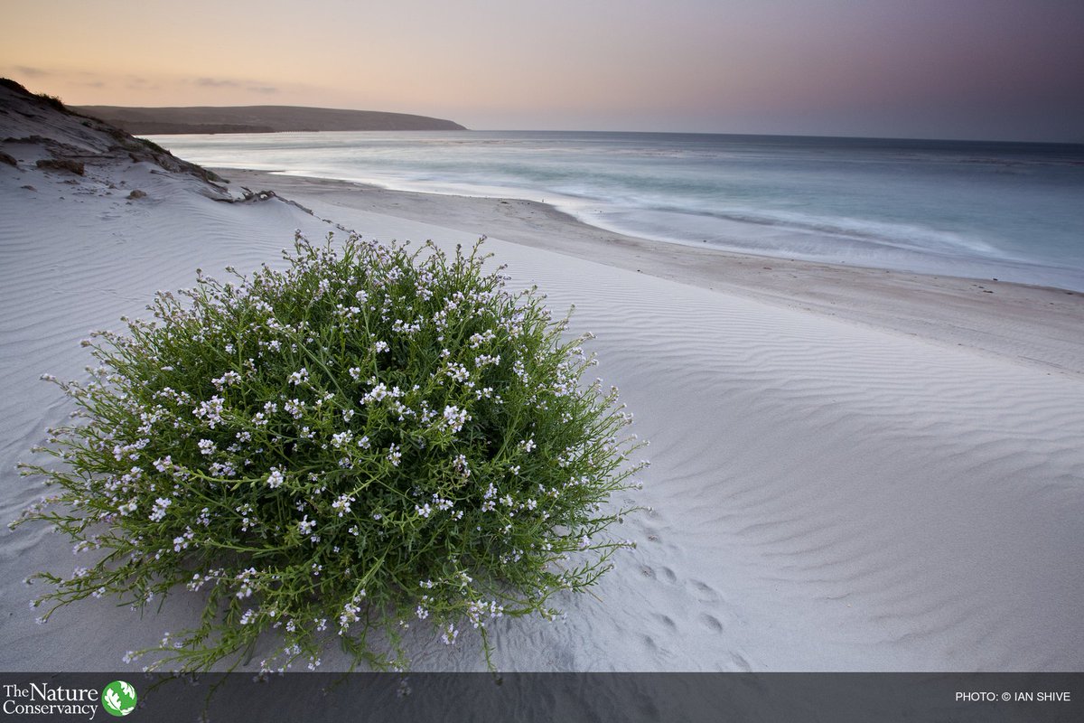 Mapping the ocean's influence on our lives has never been more urgent. bit.ly/1XcxTg0 via <a href="/down2earthindia/">Down To Earth</a>
