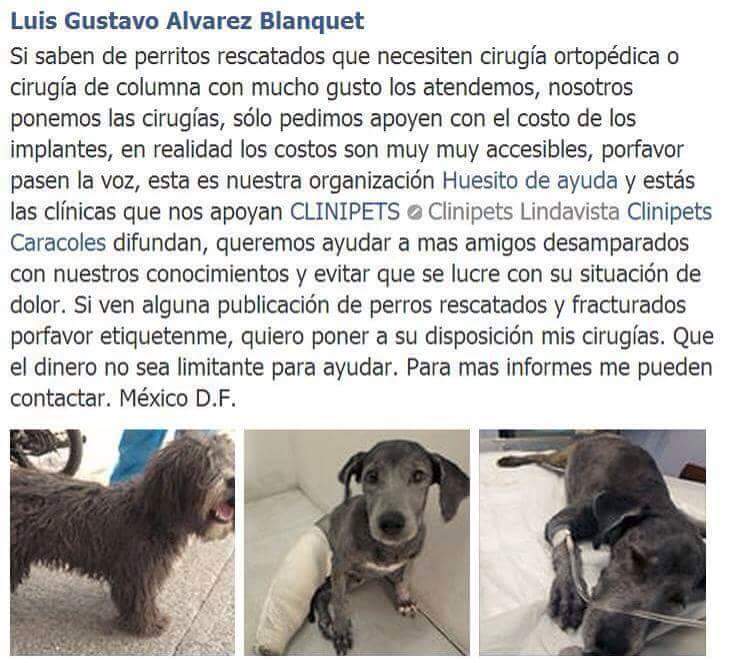 Fieles Compañeros tweet media