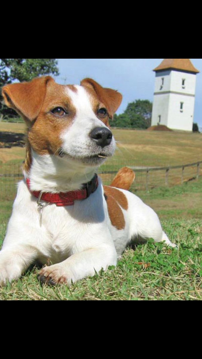 ティーダ Tidus0217 Twitter