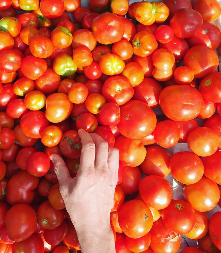 ABCCocina's tweet photo. These tomatoes found by our chef de cuisine @ianCoogz at @UnSqGreenmarket now included in our crispy chicken salad! https://t.co/PLHB9XgZf8
