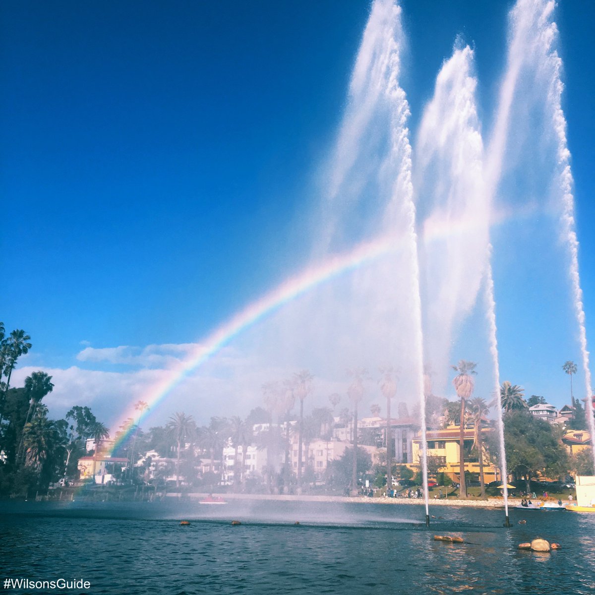 WilsonsGuide's tweet image. #WilsonsGuide post of the week: Adventures in a pedal boat, at #EchoPark @echoparknow bit.ly/WGEchoPark