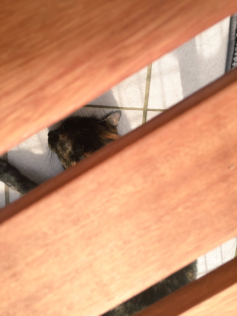 Mist. Ich wurde entdeckt...